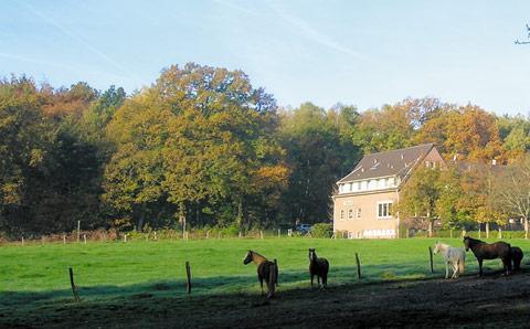 Forsthaus Schontal Hotel Aachen Luaran gambar